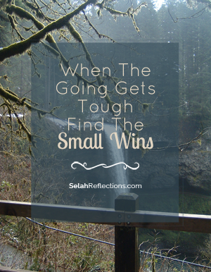 When the goin gets tough find the small wins. | SelahReflecitons.com