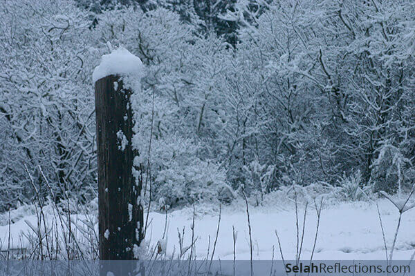 A New Year's Gift - Delighting in the unexpected