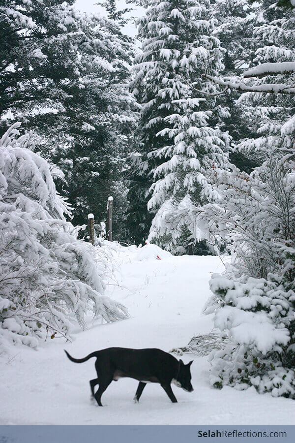 A New Year's Gift - Delighting in the unexpected