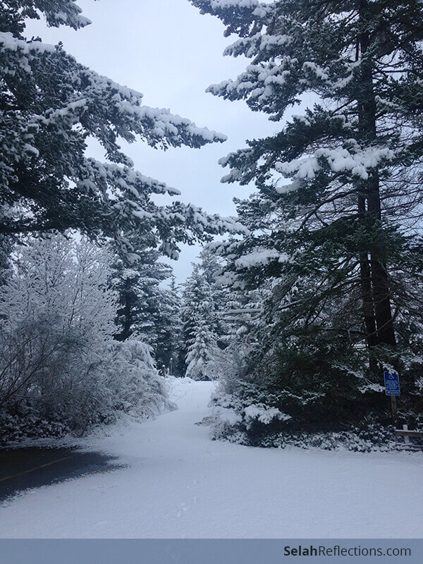 A New Year's Gift - Delighting in the unexpected