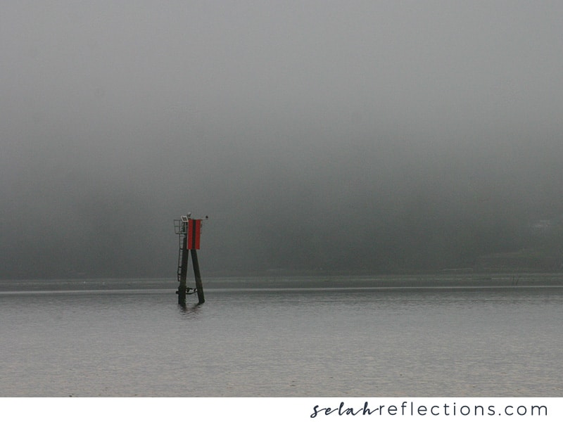 Lonely sentry out on the river on a foggy morning